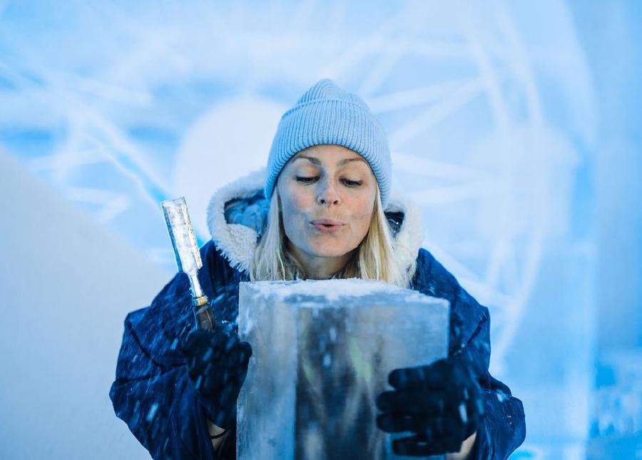 Workshop Ice Carving